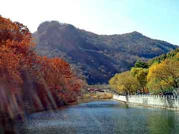 新澳天天彩免费资料大全查询，南京排水板